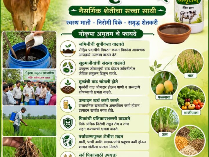 गॊ कृपा अमृतम : नैसर्गिक शेतीसाठी उपयुक्त