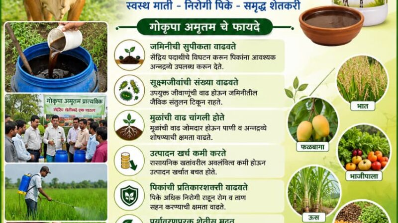 गॊ कृपा अमृतम : नैसर्गिक शेतीसाठी उपयुक्त